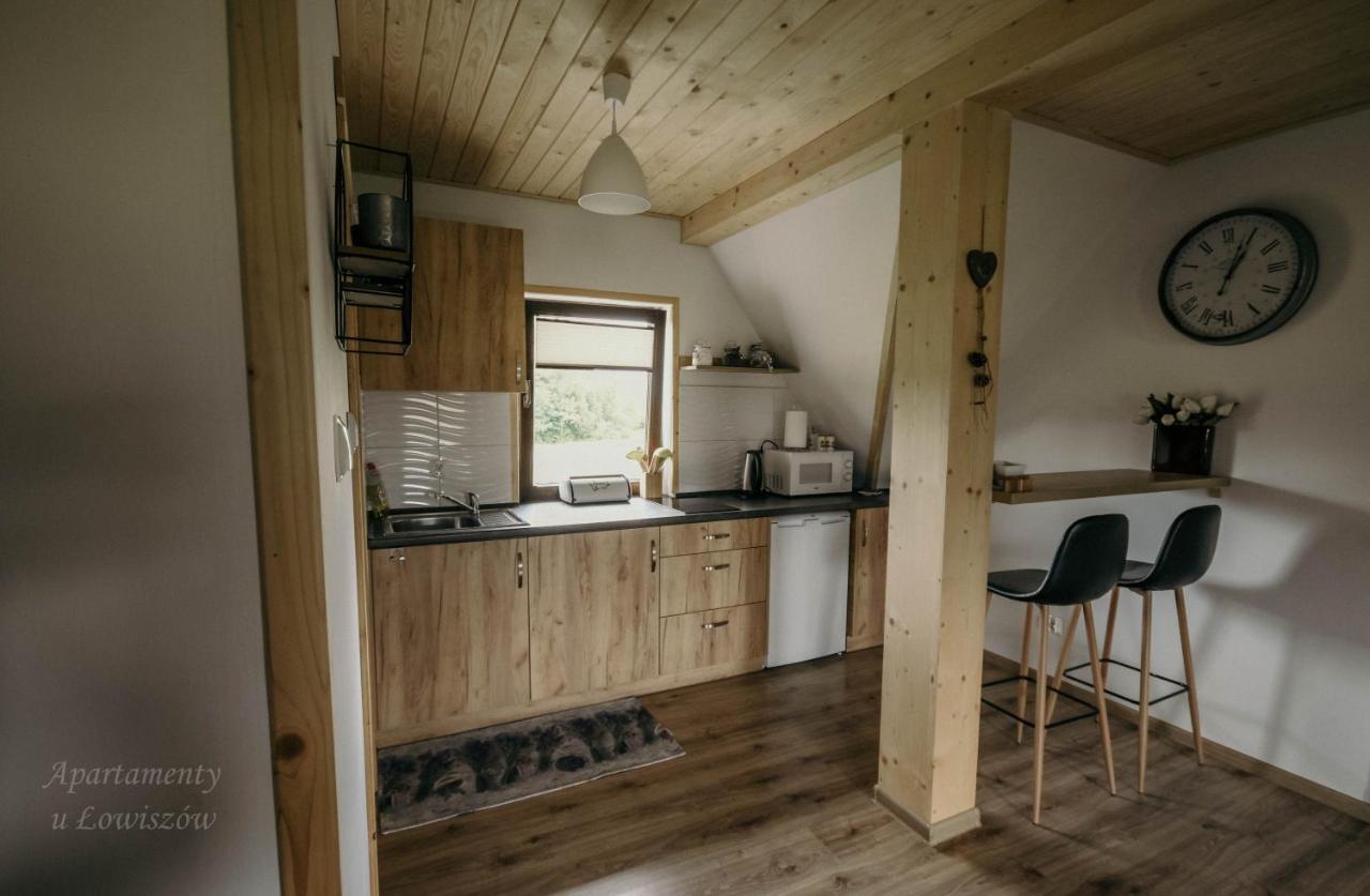 Apartament U Lowiszow Witów Екстериор снимка