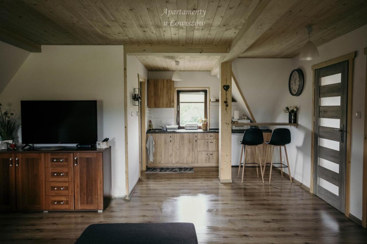 Apartament U Lowiszow Witów Екстериор снимка